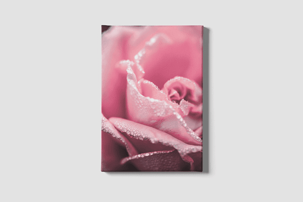 Lienzo Floral 12
