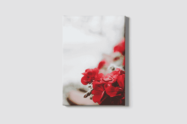 Lienzo Floral 13