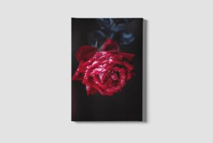 Lienzo Floral 2 – Imagen de producto