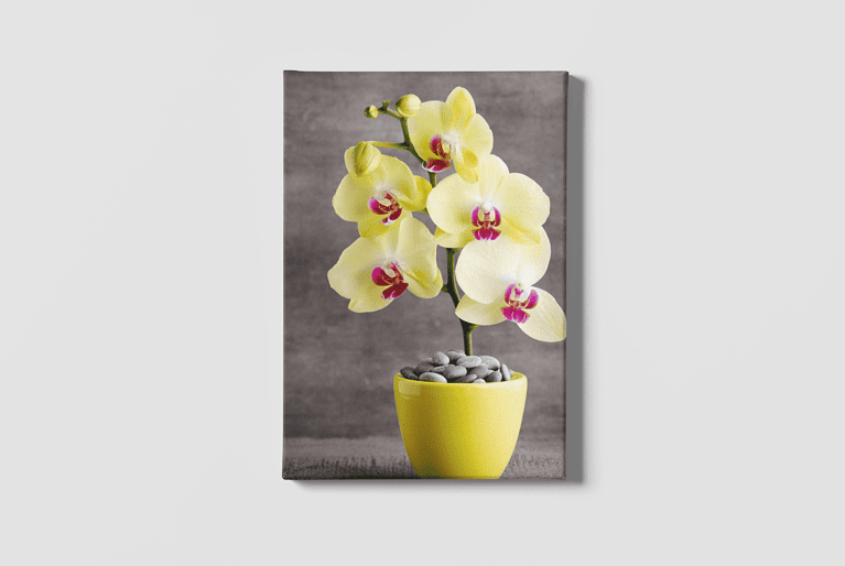 Lienzo Floral 3 – Imagen de producto