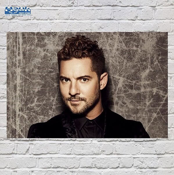 Póster Cantante rizos