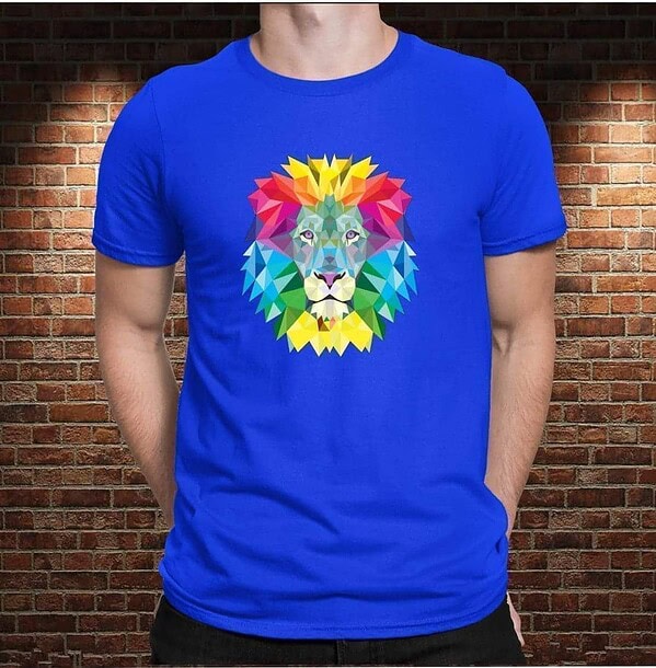Camiseta León - Imagen 2