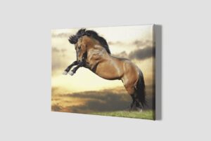 Lienzo Caballo 12 – Imagen de producto