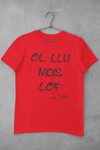 Camiseta Frase Canción 10 – Imagen de producto