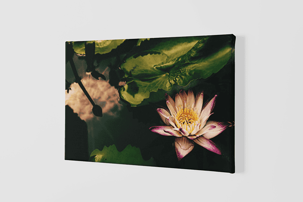 Lienzo Floral 33