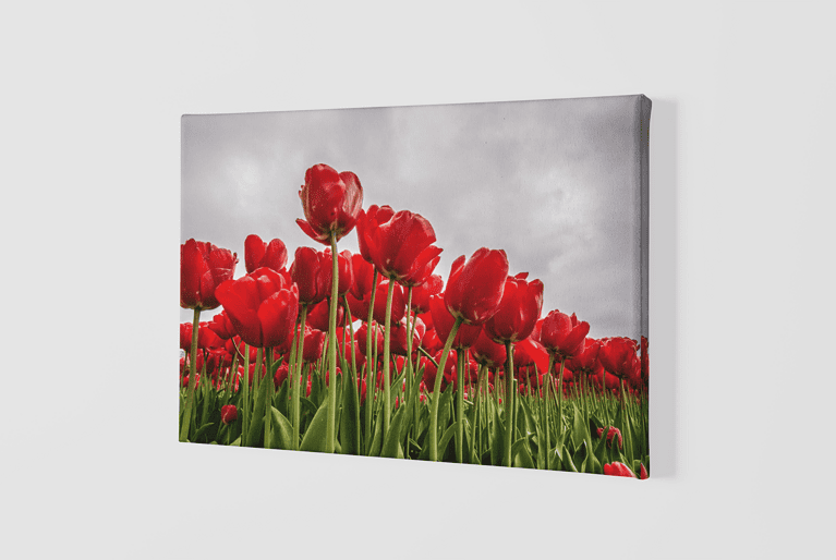 Lienzo Floral 29 – Imagen de producto