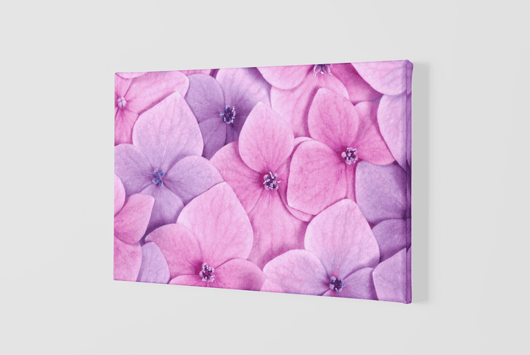Lienzo Floral 16 – Imagen de producto