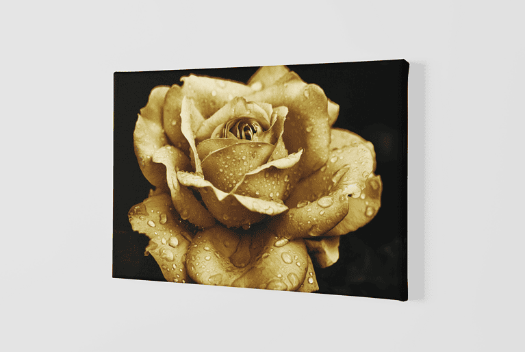 Lienzo Floral 24 – Imagen de producto