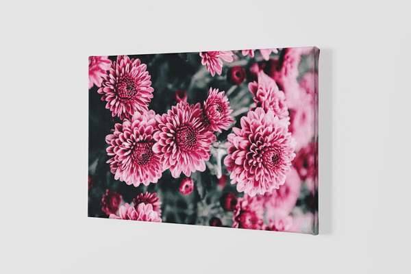 Lienzo Floral 51