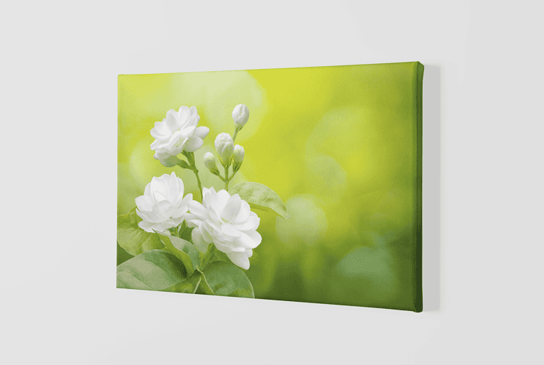 Lienzo Floral 21 – Imagen de producto