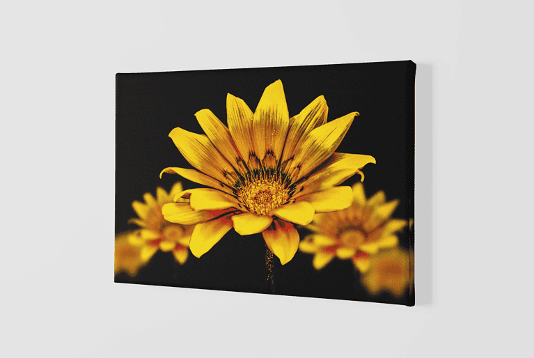 Lienzo Floral 22 – Imagen de producto