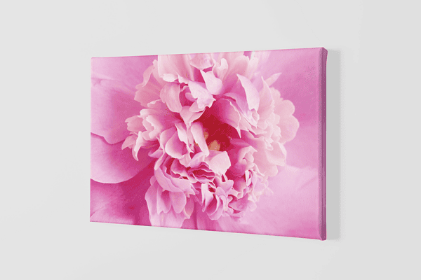 Lienzo Floral 42