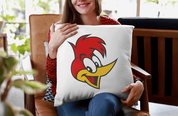 Cojín Pájaro