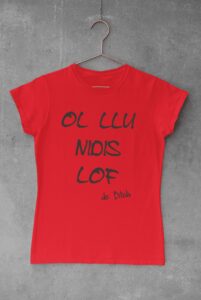 Camiseta Frase Canción 10 – Imagen de producto