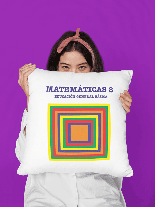 Cojín Matemáticas