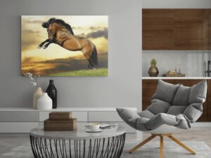 Lienzo Caballo 12 – Imagen de producto