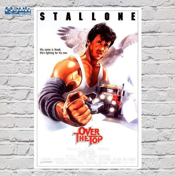 Póster Halcón